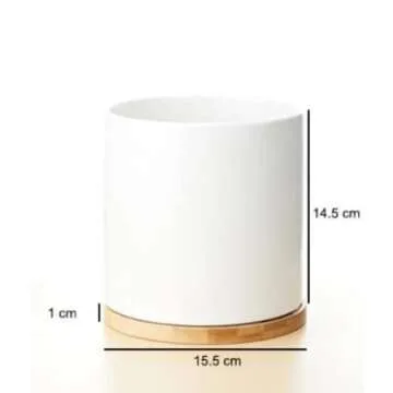 1pc - 6 Inch Indoor Outdoor Planter- Porcelain Ceramic Plant Pot with Drain Hole and Bamboo Tray (White), 6INCHPOT