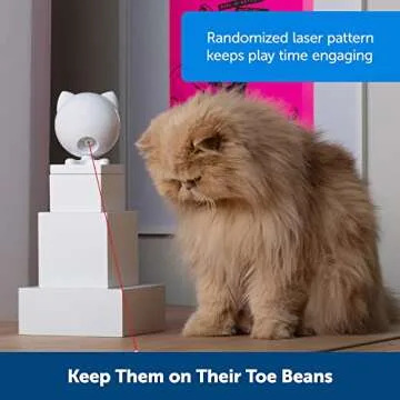 PetSafe Dancing Dot Laser Cat Toy - Exciting Playtime