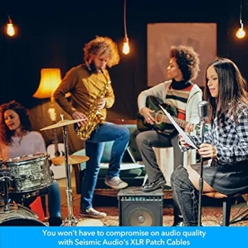 Seismic Audio 10 Foot XLR Patch Cables for Sound Quality