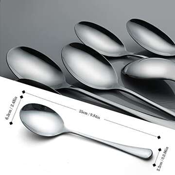 Serving Spoons, AOOSY 6 Pieces X-Large 9.8 Inches Stainless Steel Serving Spoon Catering Spoons Soli...