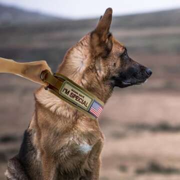 Comfluxe Tactical Dog Collar, Reflective Nylon Neoprene Padded Dog Collar with Handle, 2" Wide Heavy...