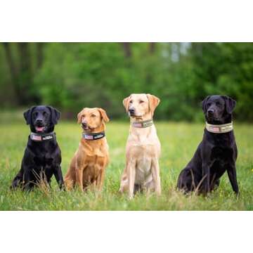 Comfluxe Tactical Dog Collar, Reflective Nylon Neoprene Padded Dog Collar with Handle, 2" Wide Heavy Duty Nylon Military Dog Collar with Quick Release Metal Buckle for Large Dogs(Khaki,17.3"-25.6")