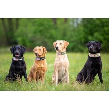 Comfluxe Tactical Dog Collar, Reflective Nylon Neoprene Padded Dog Collar with Handle, 2" Wide Heavy Duty Nylon Military Dog Collar with Quick Release Metal Buckle for Large Dogs(Khaki,17.3"-25.6")