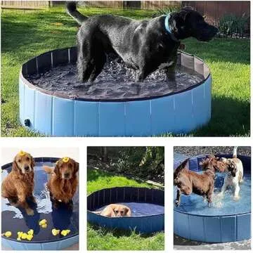 Dog Pool Foldable pet Pool Dog Swimming Pool pet Swimming Pool PVC Non-Slip Pool for All Kinds of Pets (32x8in)