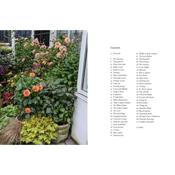 Beautiful Containers in the Garden for Plant Lovers