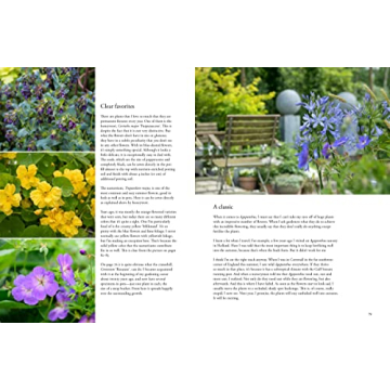 Beautiful Containers in the Garden for Plant Lovers