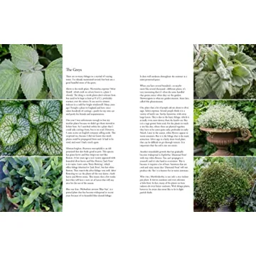 Beautiful Containers in the Garden for Plant Lovers