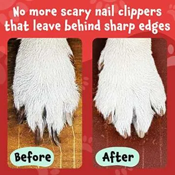 Evergreen Pet Supplies [6 Pads] Scratch Pad for Dogs - 2-Sided Medium & Coarse Sandpaper Dog Scratch Pad for Nails w/Extra Sheets - w/Handle - Dog Scratch Board for Nails