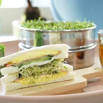 Brilliant Stainless Steel Seed Sprouter Kit for Home Gardens