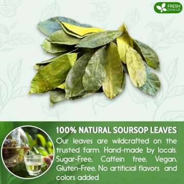 FreshDrinkUS Premium Soursop Dried Leaves Tea, 115 Cups