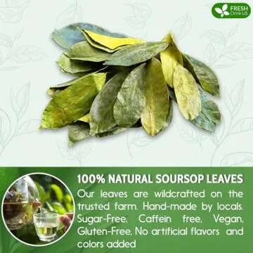 FreshDrinkUS Premium Soursop Dried Leaves Tea, 115 Cups