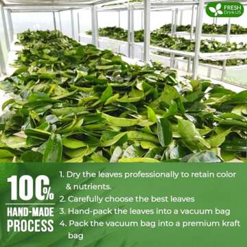 FreshDrinkUS Premium Soursop Dried Leaves Tea, 115 Cups