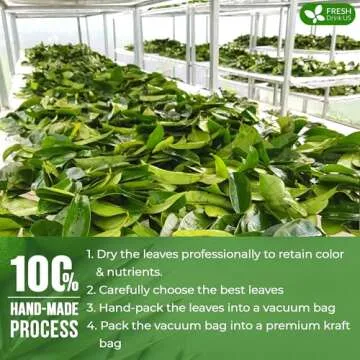 FreshDrinkUS Premium Soursop Dried Leaves Tea, 115 Cups