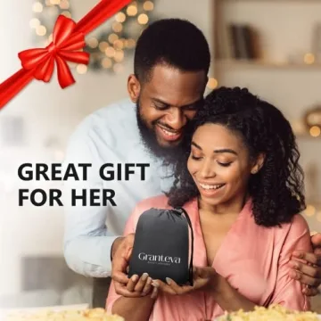 Portable Hooded Hair Dryer for Fast Hair Drying