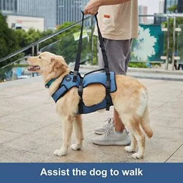 Coodeo Dog Lift Harness for Mobility & Recovery Support