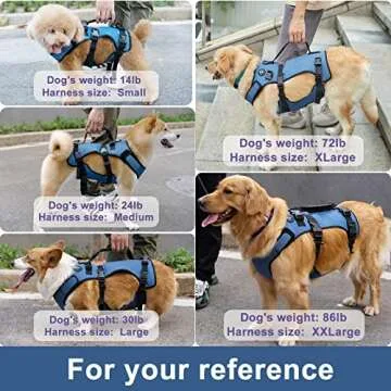 Coodeo Dog Lift Harness for Mobility & Recovery Support