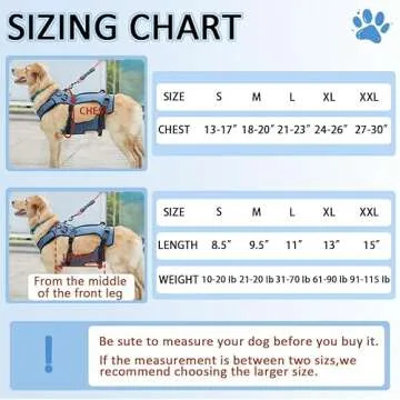 Coodeo Dog Lift Harness for Mobility & Recovery Support