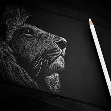 PANDAFLY White Charcoal Pencils Drawing Set, Professional 5 Pieces White Sketch Pencils for Drawing, Sketching, Shading, Blending, White Chalk Pencils for Beginners & Artists