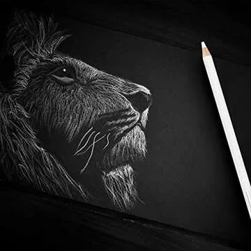 PANDAFLY White Charcoal Pencils Drawing Set, Professional 5 Pieces White Sketch Pencils for Drawing, Sketching, Shading, Blending, White Chalk Pencils for Beginners & Artists