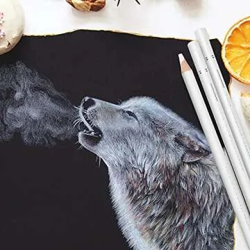 PANDAFLY White Charcoal Pencils Drawing Set, Professional 5 Pieces White Sketch Pencils for Drawing, Sketching, Shading, Blending, White Chalk Pencils for Beginners & Artists