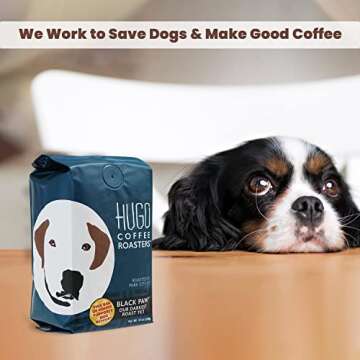 Hugo Coffee Ground Black Paw Dark French Roast - Save Dogs!