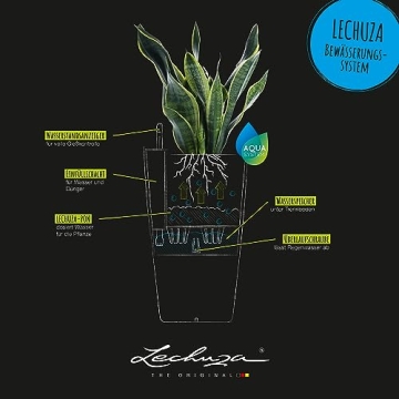 Lechuza CUBICO Color 30 Self-Watering Planter for All Spaces
