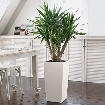 Lechuza CUBICO Color 30 Self-Watering Planter for All Spaces
