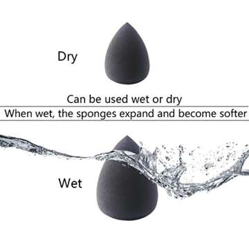 EmaxDesign 10+1 Pieces Makeup Brush Set, 10 Pieces Professional Foundation Blending Blush Eye Face Liquid Powder Cream Cosmetics Brushes & 1 Piece Black Beauty Sponge Blender