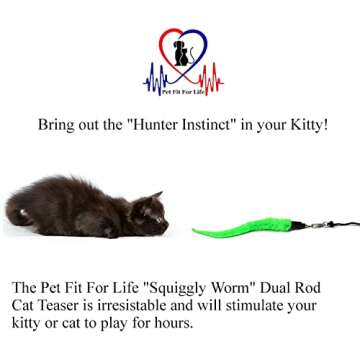 Pet Fit For Life Cat Wand Toy: 5-Piece Worm Teaser & Exerciser - Durable Flirt Pole/Cat Teaser Toy ?...