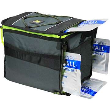 Arctic Zone Insulated Collapsible Travel Cooler Holds 12 Cans (4 Ice Packs Included), Packaging May ...