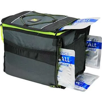 Arctic Zone Insulated Collapsible Cooler - 12 Cans + Ice Packs