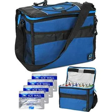 Compact Arctic Zone Insulated Cooler for All Occasions
