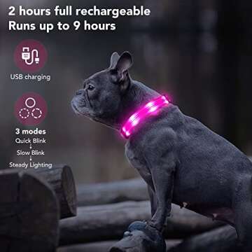 PZRLit Light Up Dog Collars,Waterproof LED Dog Collar Rechargeable, Glow in The Dark Dog Collars, Lighted Dog Collar Light for Small Meduim Large Dogs,Safety Dog Light for Night Walking-Pink, Medium