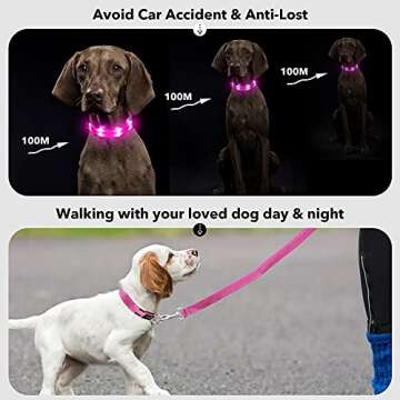 PZRLit Light Up Dog Collars,Waterproof LED Dog Collar Rechargeable, Glow in The Dark Dog Collars, Lighted Dog Collar Light for Small Meduim Large Dogs,Safety Dog Light for Night Walking-Pink, Medium