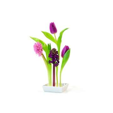 XXD Florida Ceramic vase with 5 Plug-in Slots