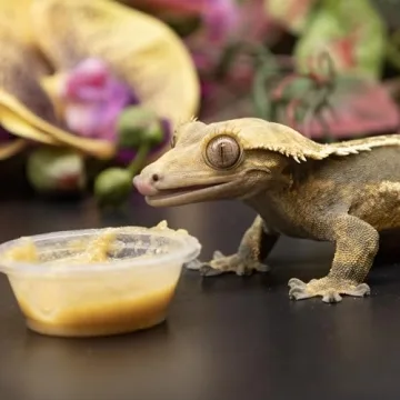 Pangea Fruit Mix with Insects for Crested Geckos 2 oz