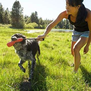 Rugged and Eco-Friendly RUFFWEAR Gourdo for Dogs