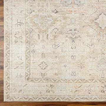 Stylish Vintage Medallion Area Rug by Livabliss