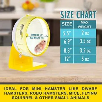 Buy 5.5 Inch Quiet Hamster Wheel for Pets Online