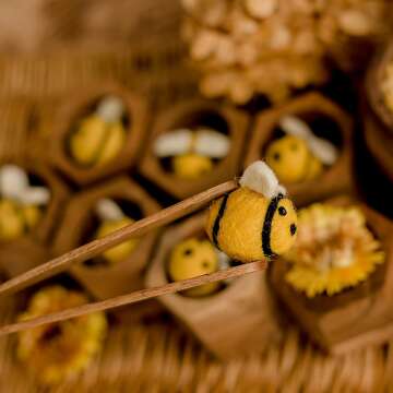 Wooden Bee Hive Sorting Toy