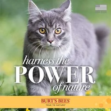 Burt's Bees for Pets Waterless Cat Grooming Spray with Shea Butter and Honey, 99.3% Natural Origin Formulas, Cat Grooming Spray, Cat Spray for Grooming, Cat Grooming Supplies, 10oz
