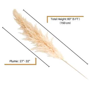 5 Feet Pampas Grass Large Dried Natural -3 Stems 60 inch Tall Fluffy Dried Pampas Big Plants for Boho Home Decor Flower Arrangements Faux Flowers Wedding Decor Kitchen Decor Plant Decor