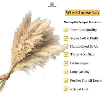 5 Feet Pampas Grass Large Dried Natural -3 Stems 60 inch Tall Fluffy Dried Pampas Big Plants for Boho Home Decor Flower Arrangements Faux Flowers Wedding Decor Kitchen Decor Plant Decor
