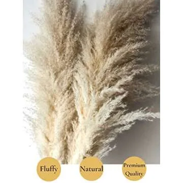 5 Feet Pampas Grass Large Dried Natural -3 Stems 60 inch Tall Fluffy Dried Pampas Big Plants for Boho Home Decor Flower Arrangements Faux Flowers Wedding Decor Kitchen Decor Plant Decor