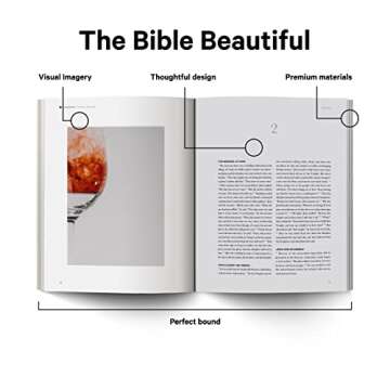 Gospel of John (SC,KJV) - Experience Faith in Every Page