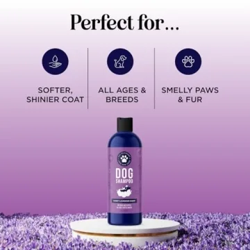 Soothing Oatmeal Dog Shampoo for Healthy Skin and Coat