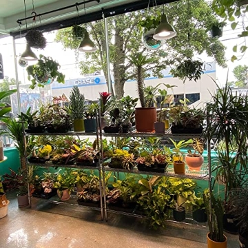 Active Grow 15W PAR38 LED Grow Light - Full Spectrum