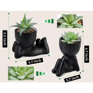 Set of 2 Artificial Succulent Plants for Aesthetic Decor