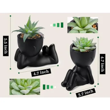 Set of 2 Artificial Succulent Plants for Aesthetic Decor