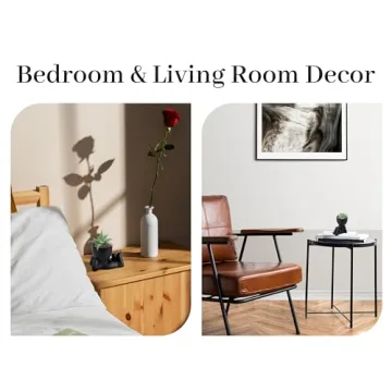 Set of 2 Artificial Succulent Plants for Aesthetic Decor